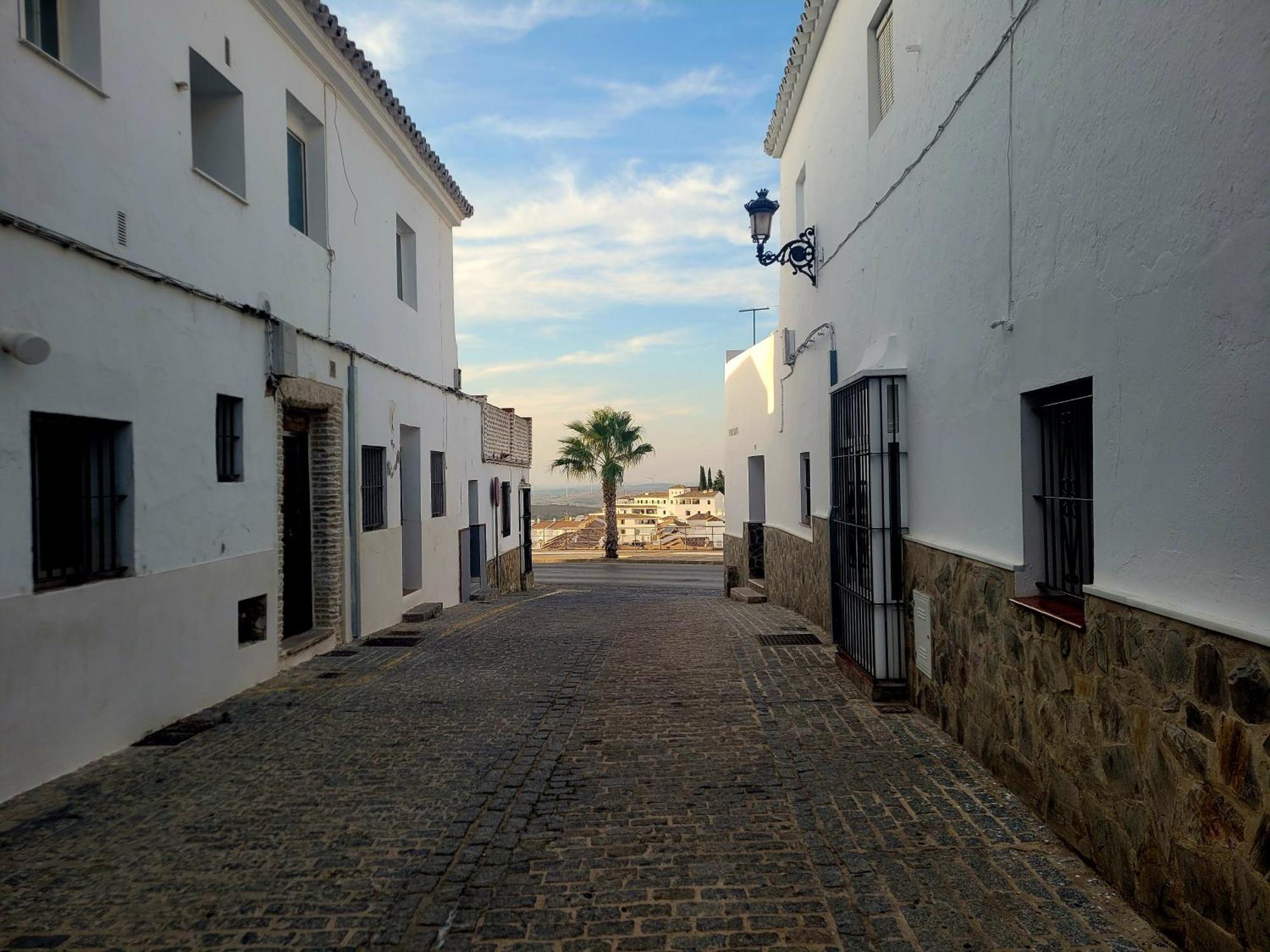 Casa Del Museo - Agua Leilighet Medina-Sidonia Eksteriør bilde
